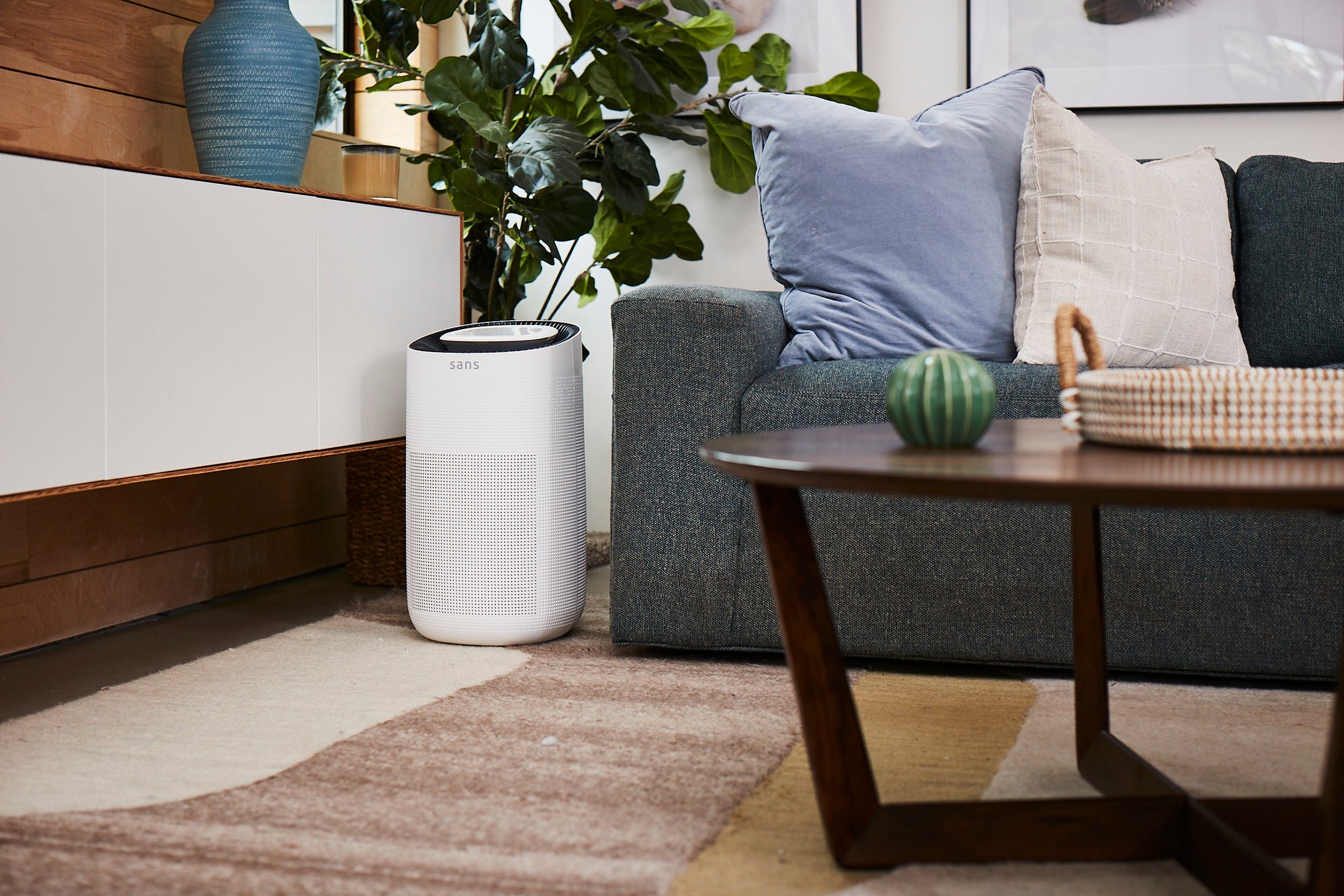 Where to put your air purifier