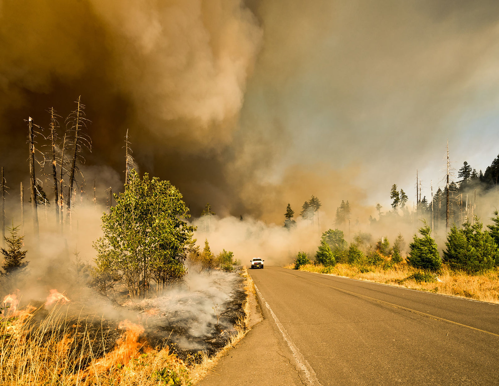 How Wildfire Season Affects Air Quality