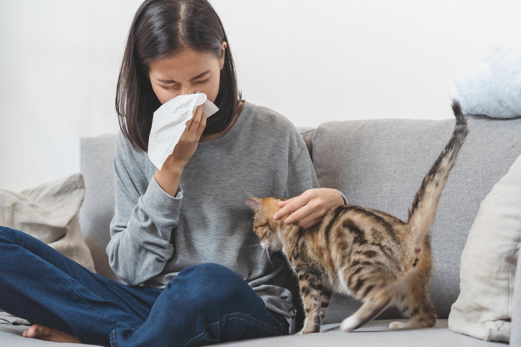 Fighting Allergies: Air Purifier or Humidifier?